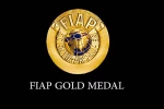 کسب جایزه مدال طلای فدراسیون بین المللی عکاسی FIAP چین توسط عکاس تئاتر بهبهانی 2