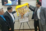 از پوستر بیست و چهارمین جشنواره ملی تئاتر لاله های سرخ اندیمشک رونمایی شد 2