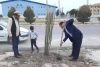 درخت نخل هنرمندان تئاتر در شهرستان بهبهان کاشته شد 5