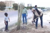 درخت نخل هنرمندان تئاتر در شهرستان بهبهان کاشته شد 6