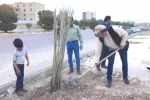 درخت نخل هنرمندان تئاتر در شهرستان بهبهان کاشته شد 6