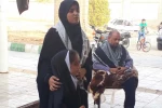 پرفورمنس محیطی «بازماندگان» در امیدیه اجرا شد 2