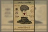 نمایش «مهمانی در مخچه» در بندرماهشهر به روی صحنه می رود 2