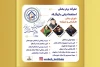 درخشش گروه تئاتر ماتریوشکا و بازیگران تئاتر خوزستان در دومین جشنواره ملی سینمایش 3