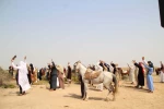 بازسازی واقعه غدیر با عنوان «غدیرنامه ولایت» 5