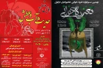 برگزاری هم زمان دو همایش تعزیه نشان از تعالی این هنر بر صحنه مقدس نمایش دزفول است 2
