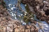 همراهی هنرمندان ایران با هموطنان خوزستانی در بحران 4