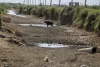 همراهی هنرمندان ایران با هموطنان خوزستانی در بحران 5