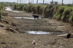 همراهی هنرمندان ایران با هموطنان خوزستانی در بحران 5