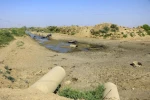 همراهی هنرمندان ایران با هموطنان خوزستانی در بحران 6