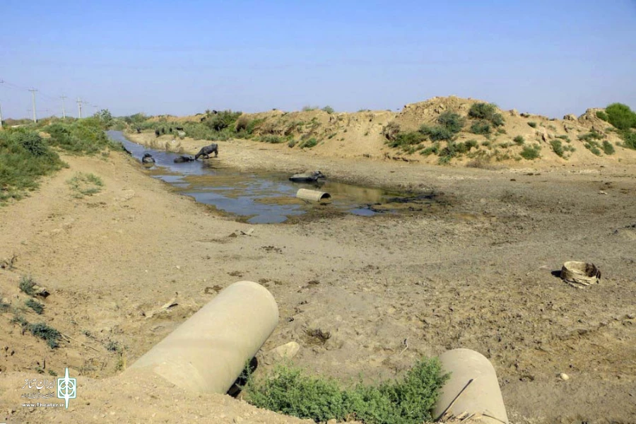 همراهی هنرمندان ایران با هموطنان خوزستانی در بحران 6