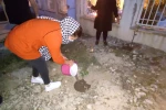 کاشت 11 نهال به یاد شهدای هنرمند در محوطه خانه فرهنگ باغملک 5