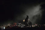 گزارش تصویری نمایش «مرثیه ای در قتل ژولیوس سزار و چند مرغ از سیمرغ»-کارگردان:مجتبی رستمی فر-عکس:کاوه کرمی-مکان:تئاتر شهر،سالن اصلی-زمان:بهمن ۱۴۰۰-چهلمین جشنواره بین المللی تئاتر فجر