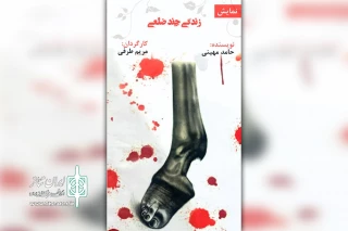 توسط گروه تئاتر ازدهار

اجرای نمایش «زندگی چند ضلعی» در سوسنگرد