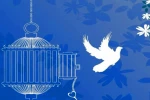 نمایشی که یک زندانی را آزاد کرد 2